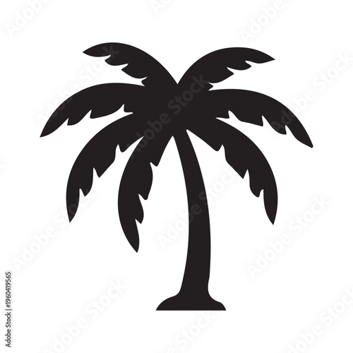 palm tree vector illustration