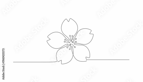 Minimalist single line drawing of a delicate cherry blossom flower on a white background.