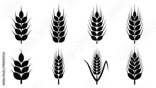 Set of eight black wheat ear silhouettes in different shapes and styles representing various types of cereal crops and agricultural harvests.