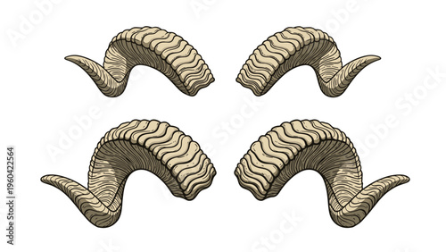 Set of four detailed ram horns with textured surfaces and curved shapes, ideal for mythological or animal-themed artwork and graphic design.