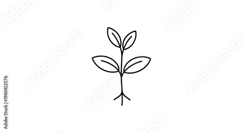 Minimalist Line Art of a Sprout Growing with Roots, Symbolizing Growth and New Beginnings