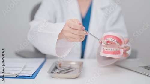 Dentist with Orthodontic tooth model and bracket or brace. Clean and Scrape off tartar. May Orthodontic Health Day, March Oral health, Dentist Day, False Teeth. Toothache and Children Dental Health