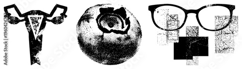 Stylized black and white vector illustrations female reproductive organ, cracked citrus fruit, vintage eyeglasses with textured. Artistic halftone design, isolated foreground elements.