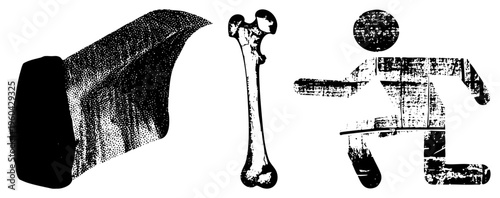 Graphic representation of human skeletal elements, bone anatomy, medical illustration, skeletal structure, black and white vector art.