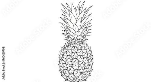 Pineapple Outline Drawing: Tropical Fruit Sketch for Healthy Eating and Summer Designs