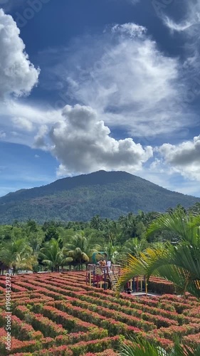 landscape of the mountains