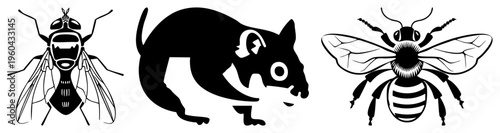 Vector illustration of fly, rat, and bee as bold black silhouettes, minimalist design, isolated, pest control symbols, urban wildlife, flat graphic art.