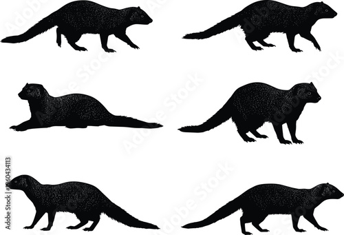 ferret silhouette, weasel silhouette, mink silhouette, animal vector, wildlife clipart, flat vector, black animal, woodland mammal, nature icon, animal artwork