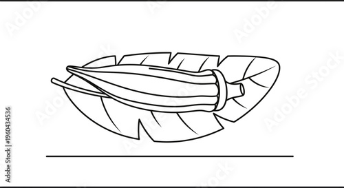 Okra Pod on Leaf Outline Drawing - Healthy Food Ingredient