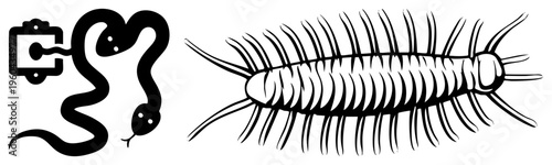 Black art of snake holding camera and centipede with segmented body, vector graphic, flat design, isolated, glyph style, art.