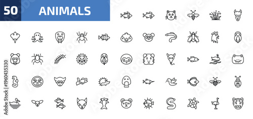 animals outline icon set. 50 linear vector for ui, web and mobile. thin line zander, salmon, cat and more icons.