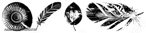 Stylized black and white natural motifs including ammonite, feather, leaf, and feather graphic, rendered in distressed halftone vector art, ideal for eco themed design projects.