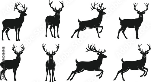 Flat vector illustration of deer with antlers in standing and running poses, forest wildlife, wild animal silhouettes