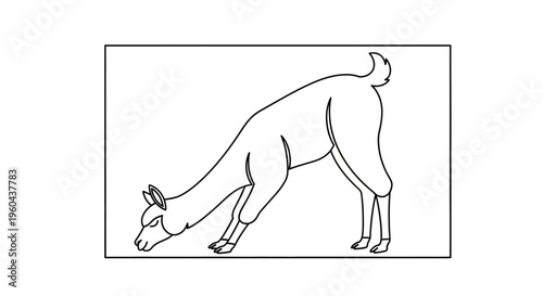 Llama grazing in a field, outline drawing, simple black and white illustration