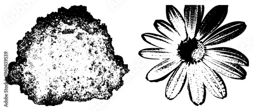 Black and white halftone flower graphic, daisy bloom with stippled shading, granular mound texture, vector art, isolated foreground elements.