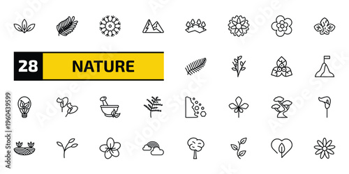 nature outline icon set. 28 linear vector for ui, web and mobile. thin line acicular, fern, knapweed and more icons.