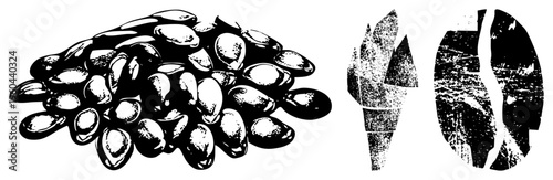 Vector illustration of coffee beans pile, portafilter, and split bean, black and white, halftone texture, coffee shop design elements.