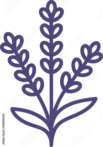 Simple purple line art icon represents a sprig of fragrant lavender herb isolated on a white background.