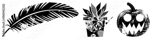 Grungy black and white vector jack o lantern, feather, potted succulent. Halloween, writing, nature, graphic design elements.