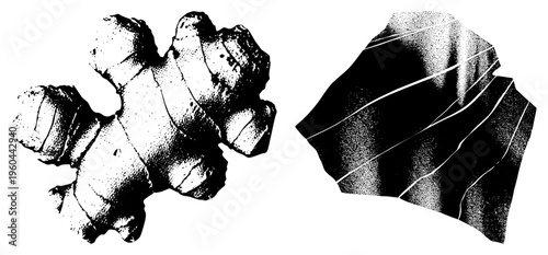 Organic ginger root rendered in halftone dots, paired with abstract flowing shape, both in vector style, isolated on transparent background.