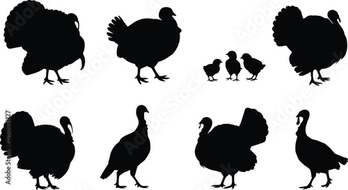 Black silhouette of turkey birds and small chicks for Thanksgiving day farm animal icons isolated on a white background vector.