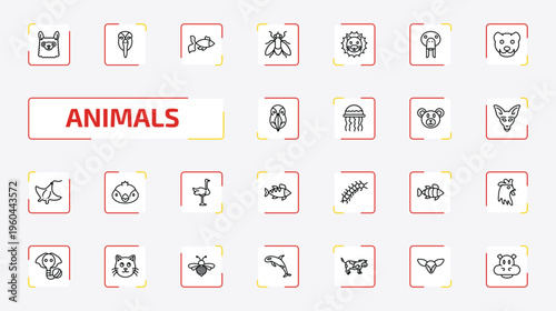 animals outline icon set. 25 linear vector for ui, web and mobile. thin line llama, albotros, gold fish and more icons.