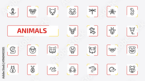 animals outline icon set. 25 linear vector for ui, web and mobile. thin line squid, panda bear, fox and more icons.