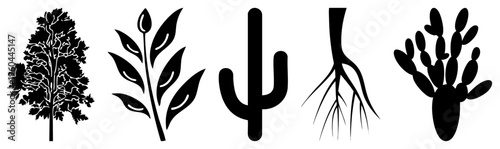 Tree, flowering stem, cactus, root system, prickly pear cactus all rendered as bold black vector, ideal for eco design or botanical illustration projects.