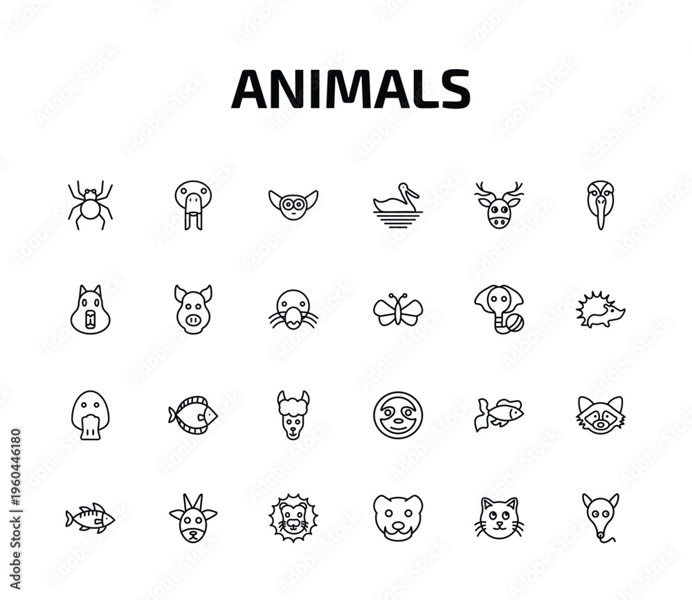 Fototapeta premium animals outline icon set. 24 linear vector for ui, web and mobile. thin line spider, sea cow, lemur and more icons.