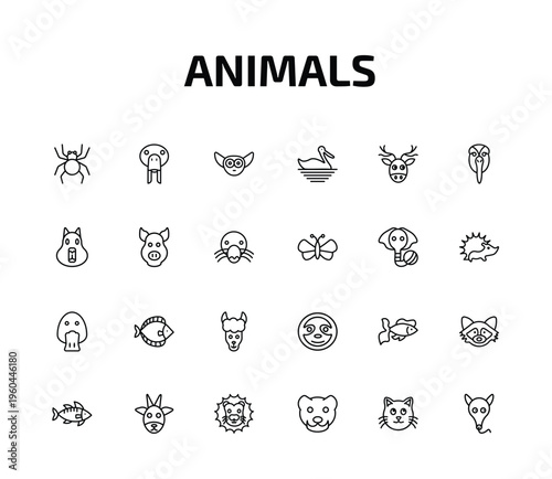 animals outline icon set. 24 linear vector for ui, web and mobile. thin line spider, sea cow, lemur and more icons.