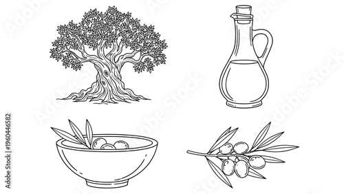 Collection of line art drawings featuring a traditional olive tree, glass bottle of olive oil, bowl of olives, and a fruiting branch.