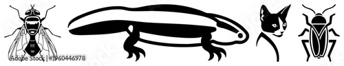 Vector of fly, salamander, cat, and beetle in minimalist style. Animal, graphic design elements, isolated characters.