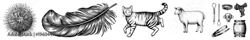 Classic engraved style vector sea urchin, feather, tabby cat, sheep, riding tack, and barrel., detailed art for design projects.