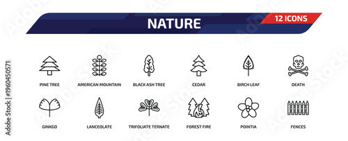 nature outline icon set. 12 linear vector for ui, web and mobile. thin line pine tree, american mountain ash, black ash tree and more icons.