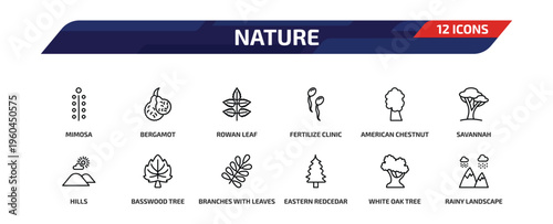 nature outline icon set. 12 linear vector for ui, web and mobile. thin line mimosa, bergamot, rowan leaf and more icons.