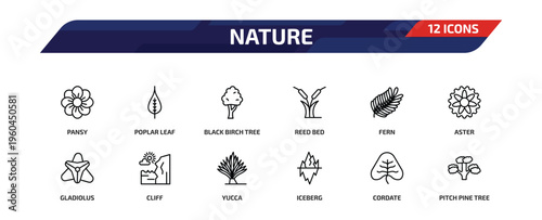 nature outline icon set. 12 linear vector for ui, web and mobile. thin line pansy, poplar leaf, black birch tree and more icons.