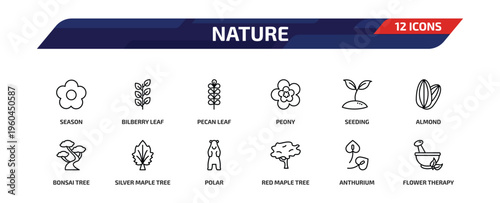 nature outline icon set. 12 linear vector for ui, web and mobile. thin line season, bilberry leaf, pecan leaf and more icons.