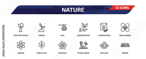nature outline icon set. 12 linear vector for ui, web and mobile. thin line tree with white foliage, grows, hive and more icons.