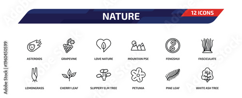 nature outline icon set. 12 linear vector for ui, web and mobile. thin line asteroids, grapevine, love nature and more icons.