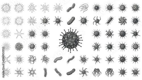 Extensive collection of various virus and bacteria cell shapes and micro-organism structures for medical and scientific projects.