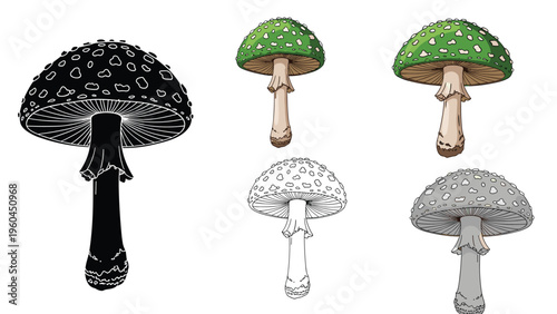 Fly agaric mushroom graphic illustrations in a variety of styles including colored versions, black silhouette, and detailed line art drawings.