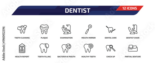 dentist outline icon set. 12 linear vector for ui, web and mobile. thin line tooth cleaning, plaque, examination and more icons.