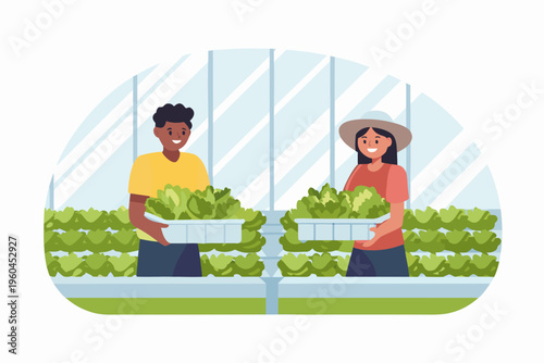 Two people harvesting fresh lettuce in a modern greenhouse setting