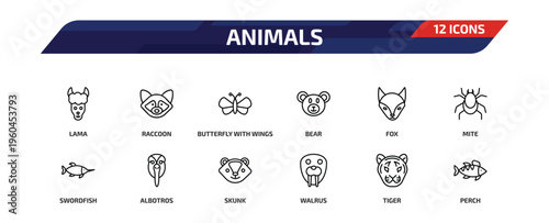 animals outline icon set. 12 linear vector for ui, web and mobile. thin line lama, raccoon, butterfly with wings and more icons.
