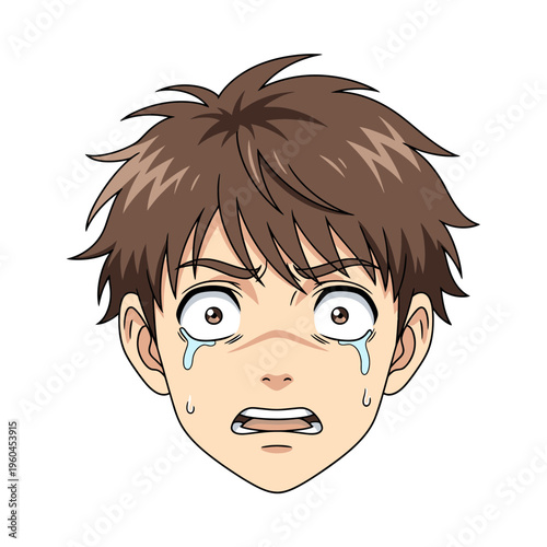 Anime character with shocked expression and tears streaming down face.