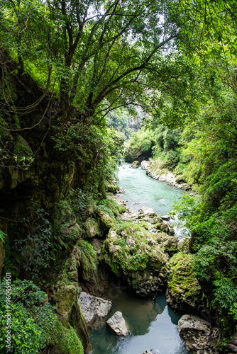 Photography A small river flowing through a lush green canyon surrounded by dense vegetation and rocky cliffs