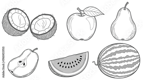 Detailed engravings of various fruits feature coconut halves, a whole apple, a pear, a sliced pear, and two versions of a watermelon.