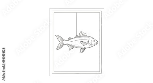 Detailed monochromatic line art illustration of a freshwater fish suspended in a clean rectangular