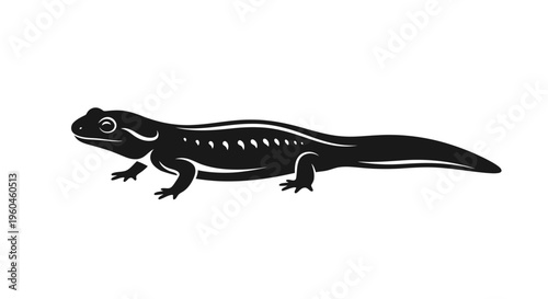Black silhouette of a spotted salamander on a white background