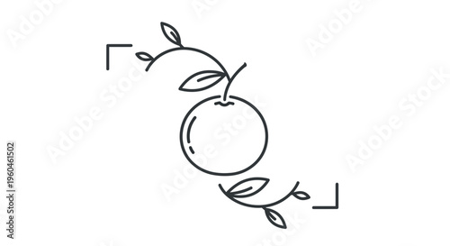 Elegant monochrome line drawing depicting a fresh citrus fruit on a leafy branch enhanced by
